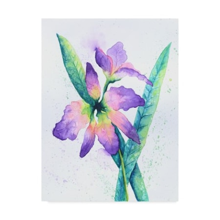 Trademark Fine Art Michelle Faber 'Purple Orchid On White' Canvas Art, 18x24 ALI43544-C1824GG